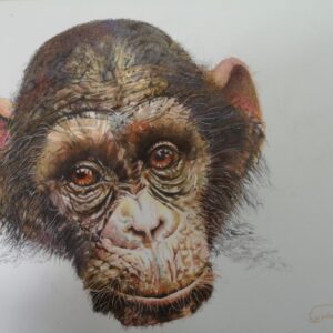 "Do I Not Have A Say?"