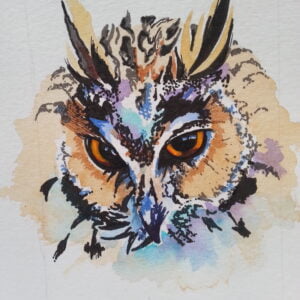 Long eared owl 2 Prints