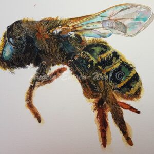 Buzzy bee