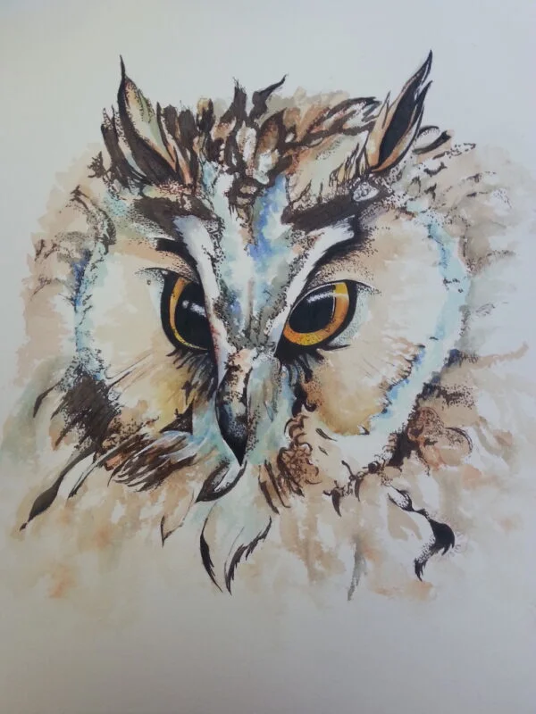 Long eared owl 3 Prints