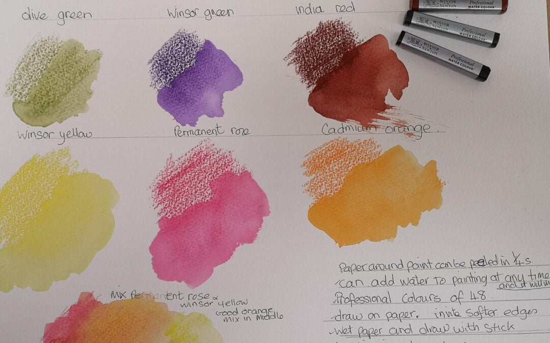 Windsor Newton Professional Water Colour Painting Sticks