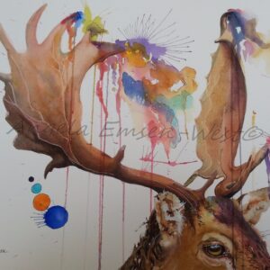 Stag Night